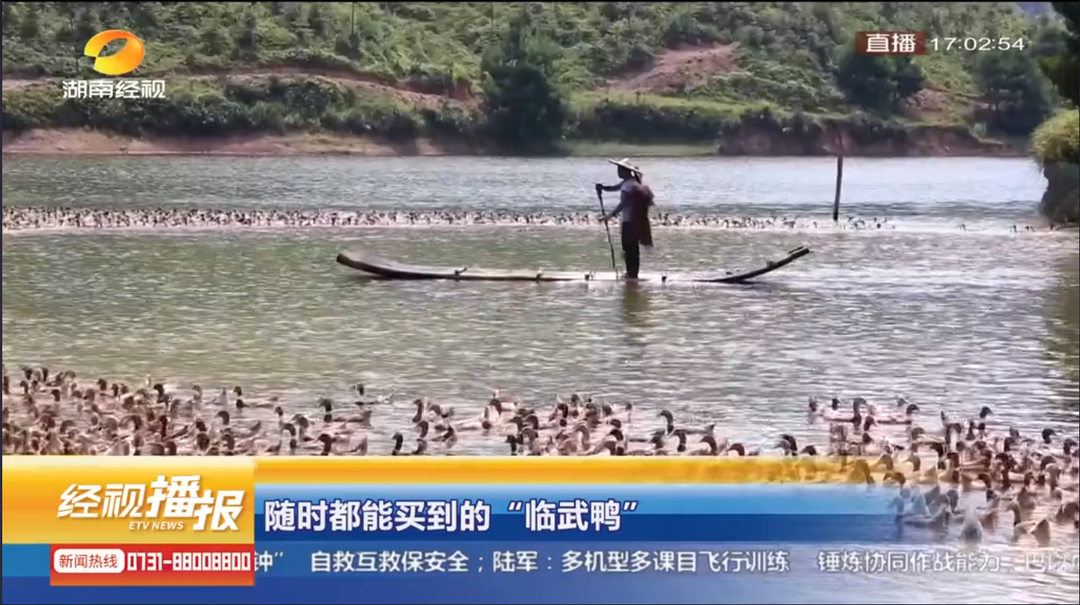 【经视播报】随时都能买到的“临武鸭”