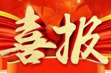 ​优秀！这项市级评选结果揭晓，临武斩获多个奖项！