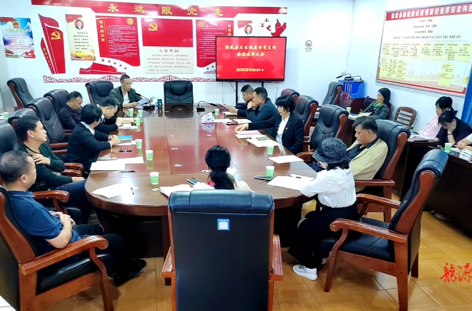 临武县卫生健康局党支部换届选举顺利完成