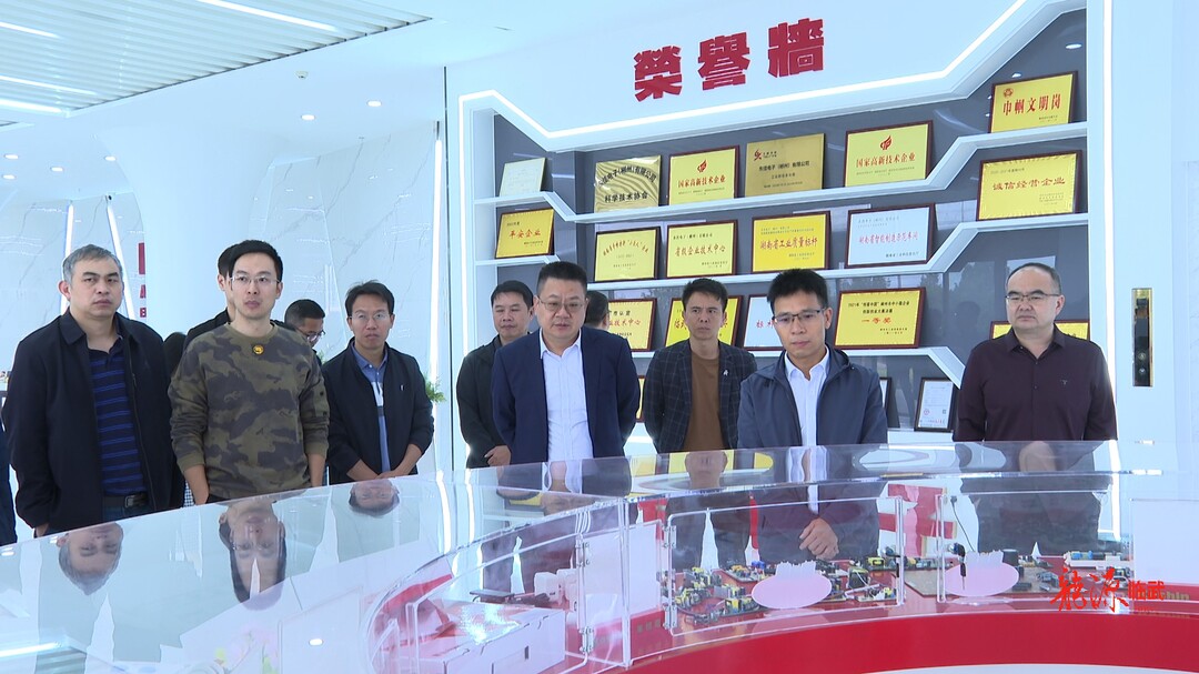 打好“发展六仗”｜全市重点工业项目现场观摩会暨工业投资规划工作调度会在临召开