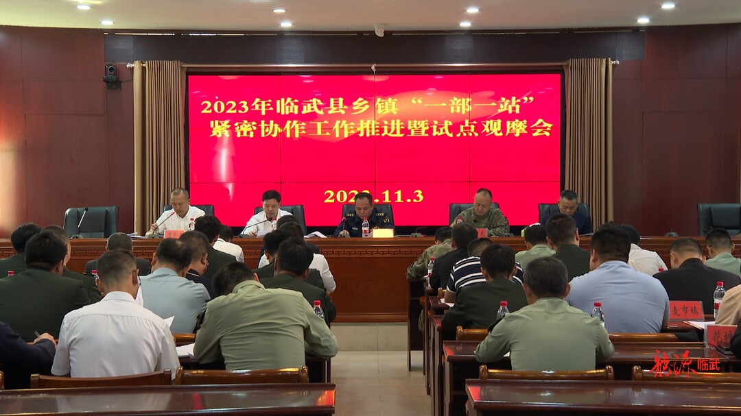 临武县召开乡镇“一部一站”紧密协作工作推进暨试点观摩会