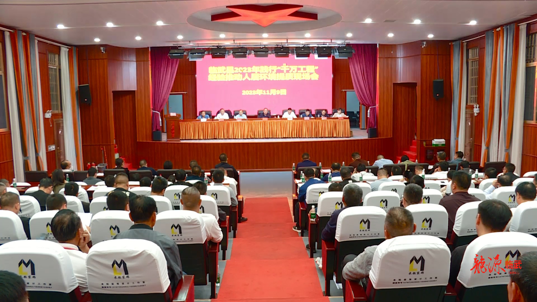 临武县召开2023年践行“千万工程”经验 推动人居环境提质现场会