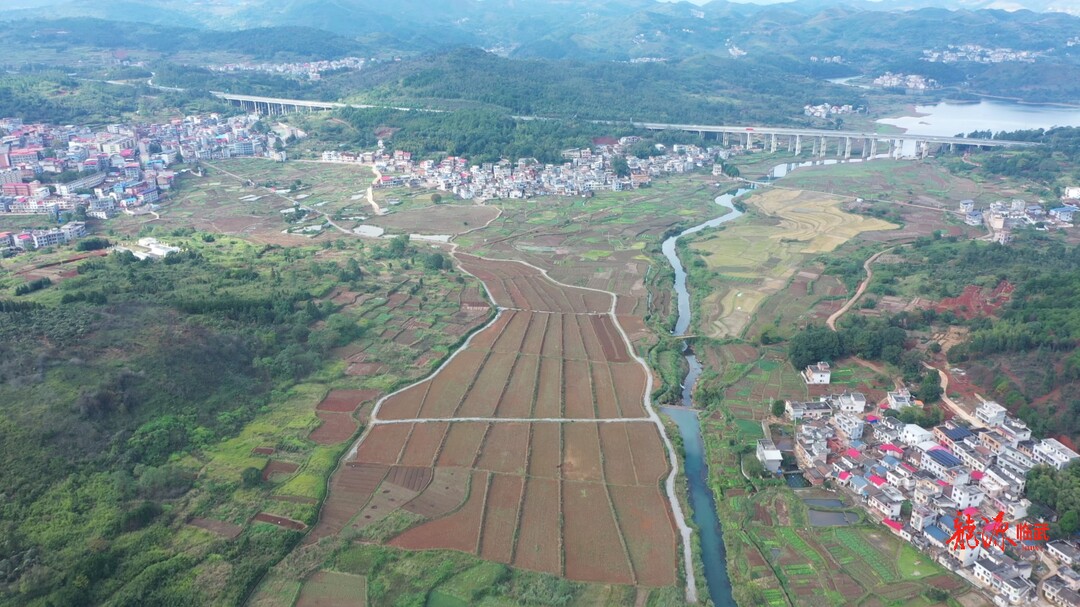 乡村振兴进行时｜麦市：翻耕复种  “冬闲田”变“增收田”