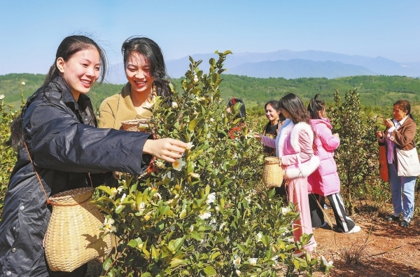 【郴州日报】要闻