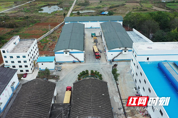 【红网时刻】临武：粮食“体检”严把入库粮食安全关