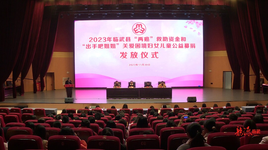 临武县集中发放2023年“两癌”救助和“出手吧姐姐”关爱困境妇女儿童公益募捐资金