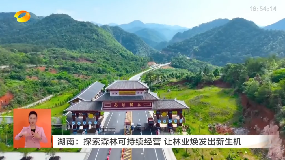 【湖南新闻联播】湖南：探索森林可持续经营 让林业焕发出新生机