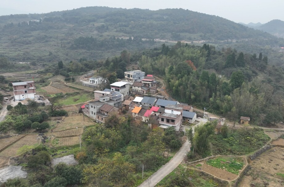 代表建议追踪 | 消除通信讯号“盲点”   让山区群众幸福“满格”