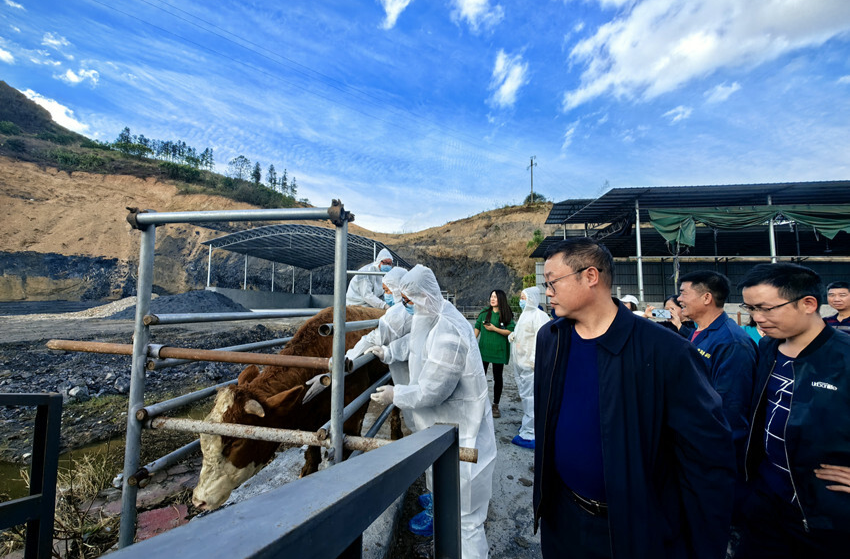 临武县畜牧水产事务中心：技能培训筑牢人畜共患病“防控网”