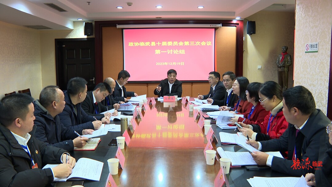 聚焦两会｜政协委员分组讨论政协工作报告和提案工作报告