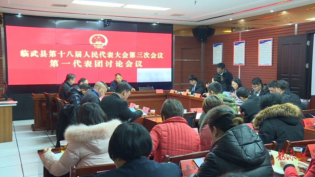 聚焦两会｜县人大代表分团审议政府工作报告和其他报告