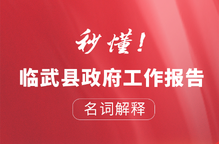 秒懂！临武县政府工作报告名词解释