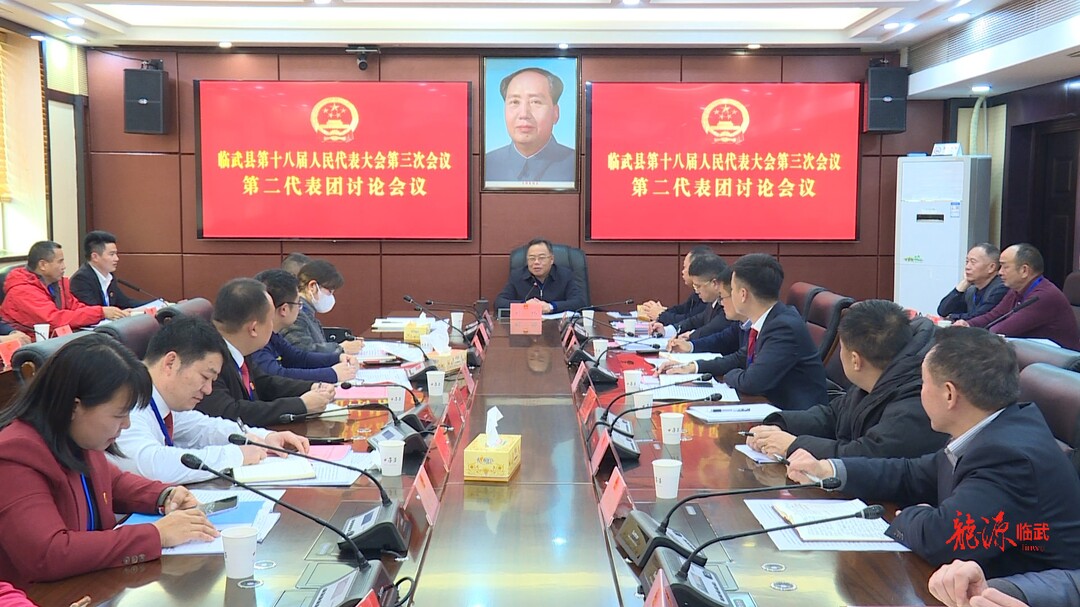 聚焦两会｜县人大代表审议县人大常委会工作报告和“两院”工作报告