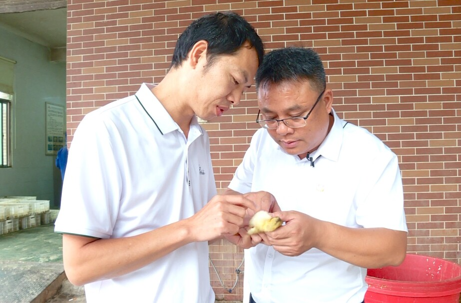 “老农人”何章军：群众的幸福感就是我的获得感
