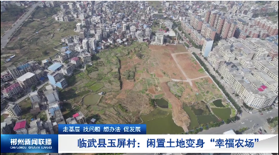 【郴州新闻联播】走基层 找问题 想办法 促发展·临武县玉屏村：闲置土地变身“幸福农场”