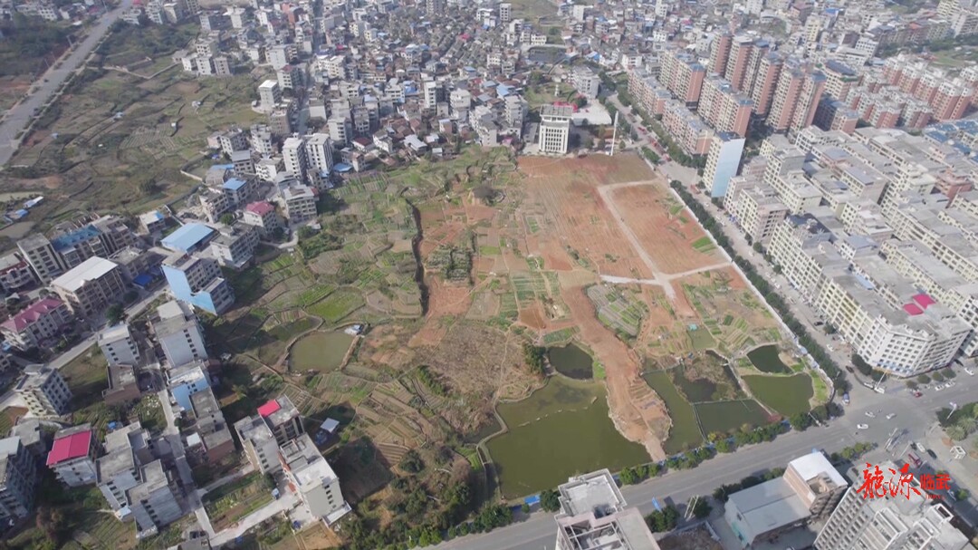 乡村振兴进行时 | 玉屏村：闲置土地变身“幸福农场”