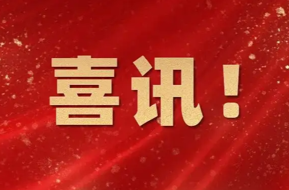 点赞！临武上榜省级真抓实干督查激励拟推荐名单