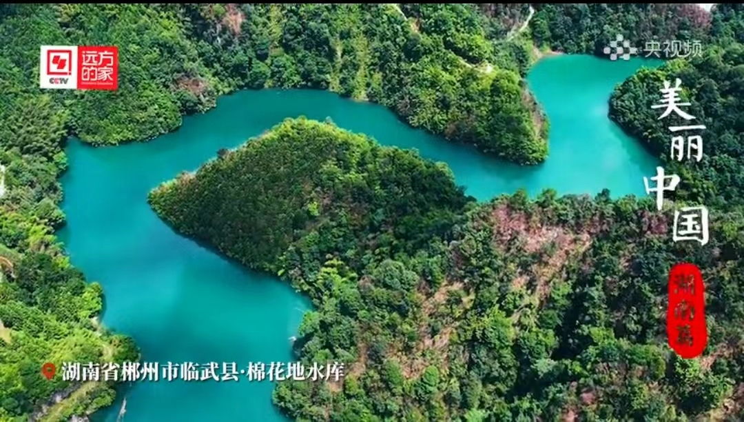 【央视频】棉花地水库青山如黛，宛如山水画中的明珠！