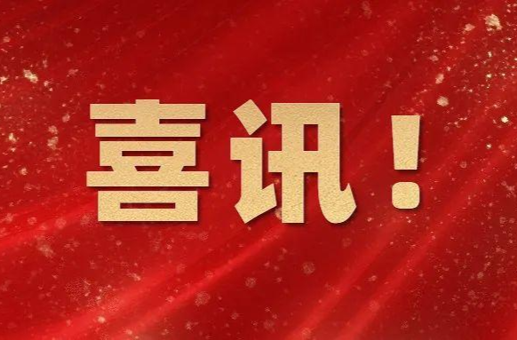 喜讯！临武县残联多项工作获评优秀