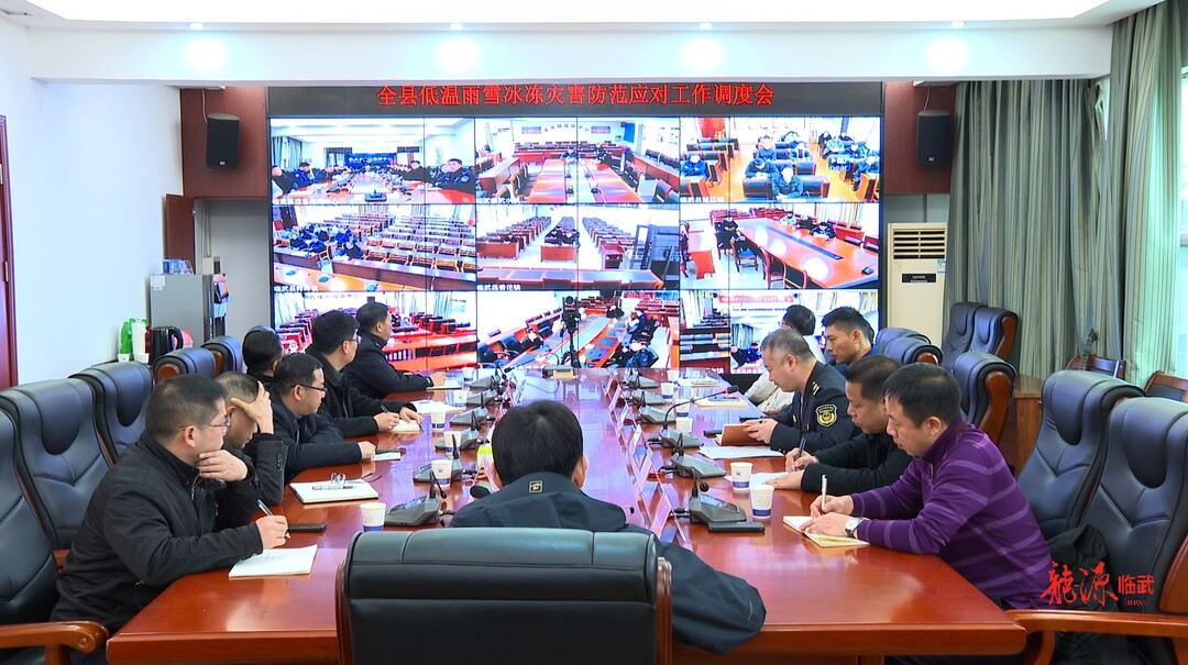 临武县组织收听收看全市低温雨雪冰冻灾害防范应对工作电视电话会