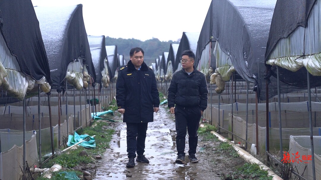 应对低温雨雪冰冻天气 | 临武县农业农村局：强化防寒措施 确保农业生产安全过冬