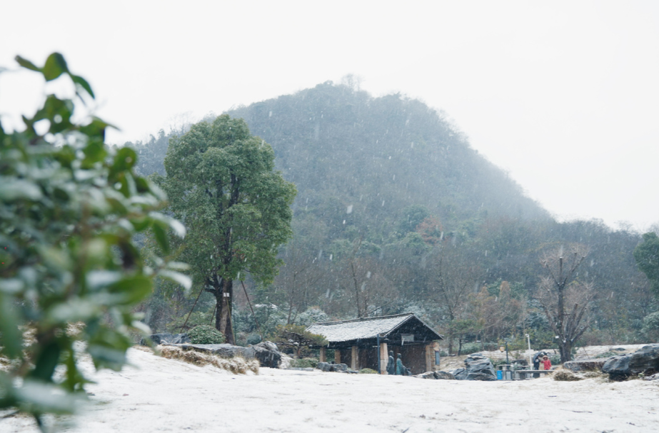 “落”雪啦! 临武初雪如约而至