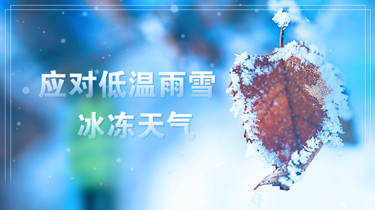 应对低温雨雪冰冻天气
