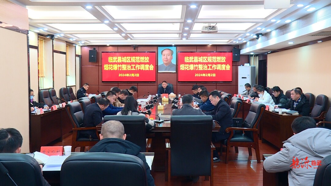 今年春节 临武县烟花爆竹燃放“禁改限”