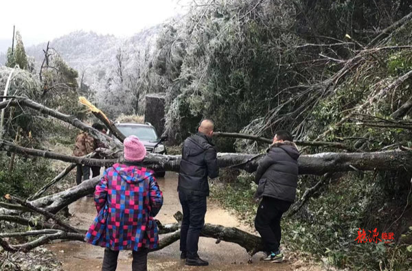 花塘乡：闻“雪”而动护平安
