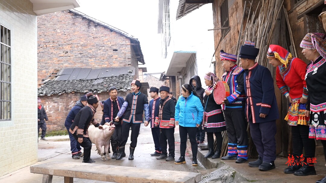 新春走基层｜楚江冲头：杀年猪过大年   瑶乡年味足