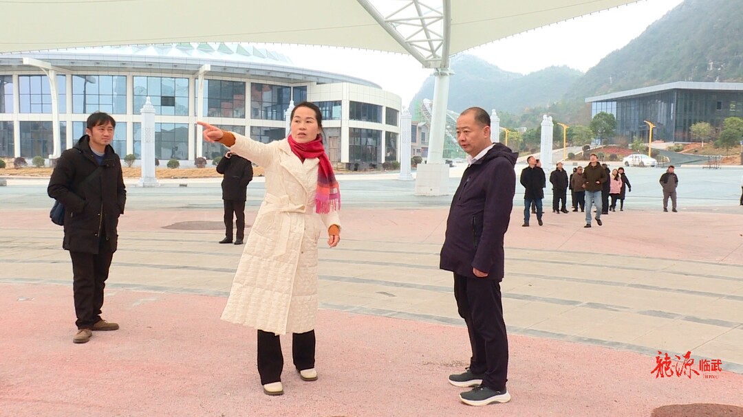 曾双红调度元宵节舞龙大会活动