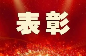 点赞！这些集体和个人受表扬