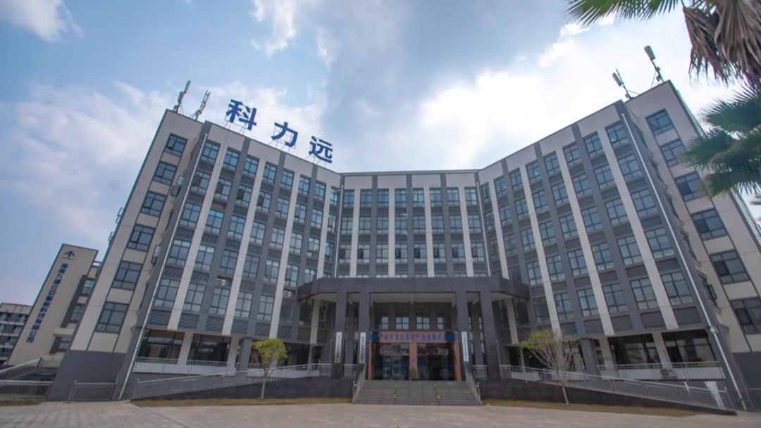 【郴州新闻联播】搬来上市公司总部的郴商