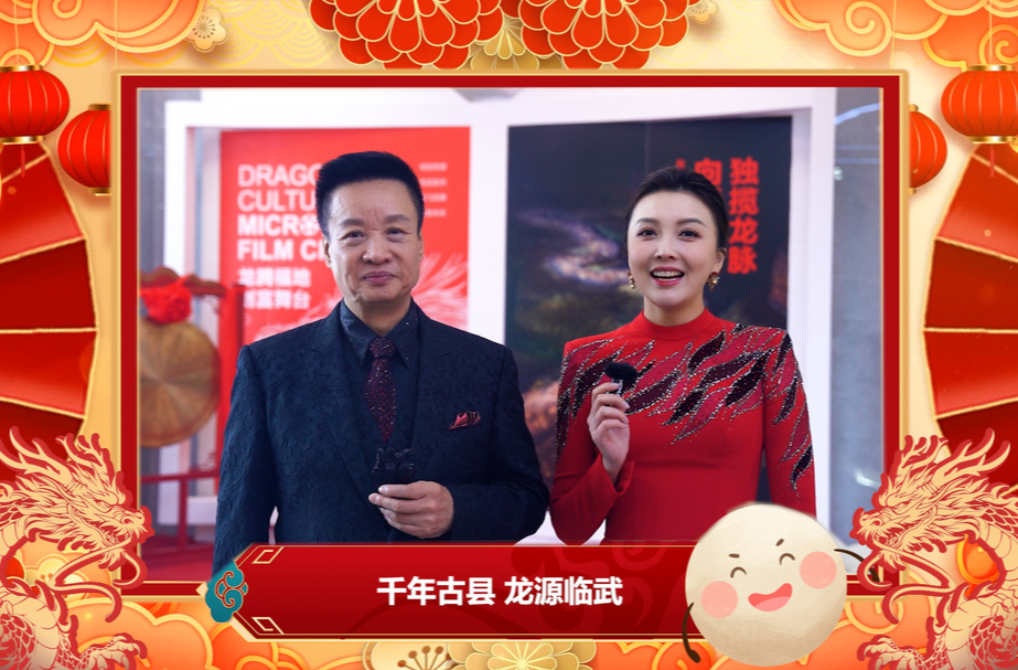 #正月十五＃“千年古县龙源临武”舞龙大会#阎维文 付芮给临武人民送祝福！