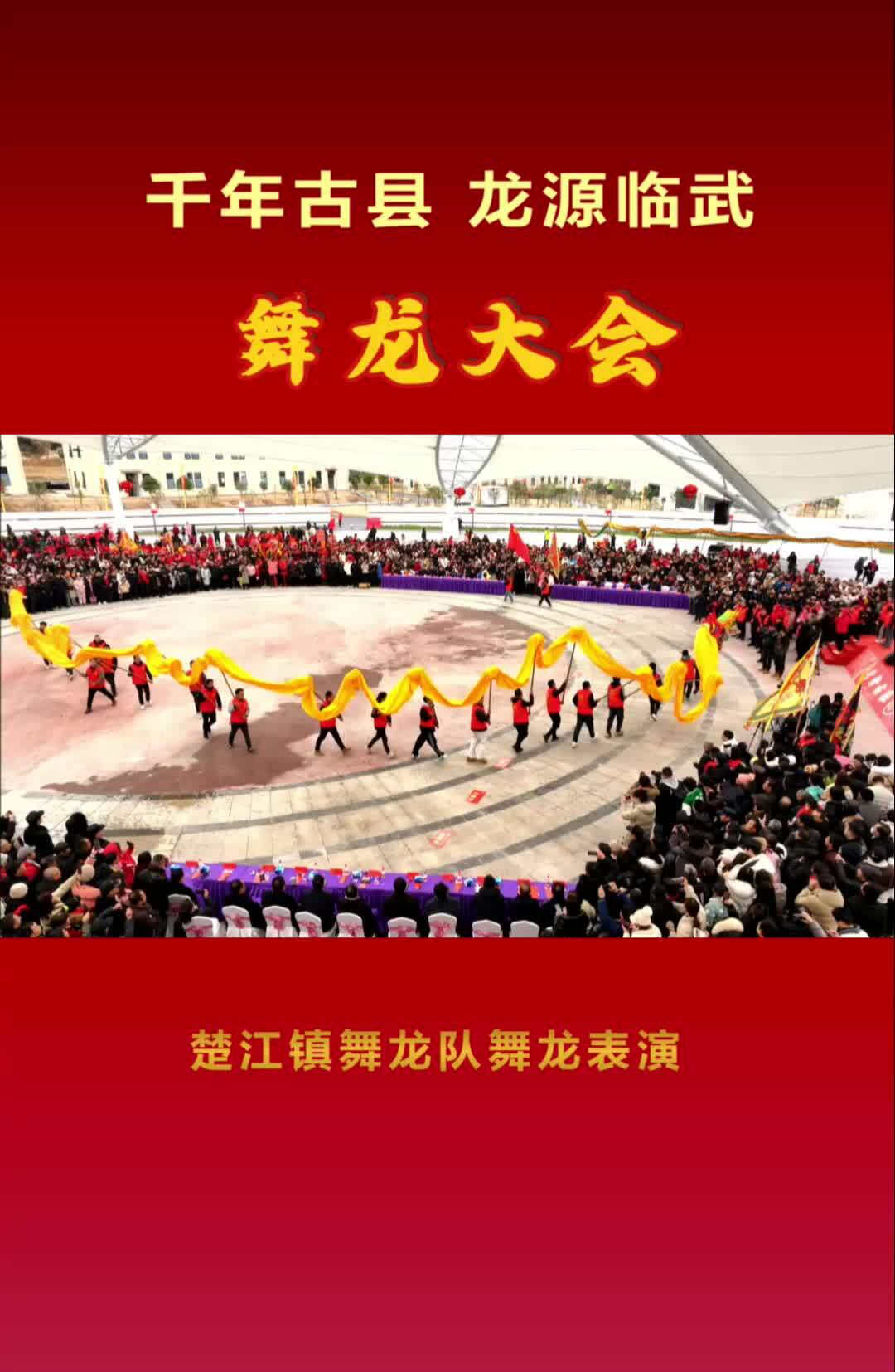 楚江镇舞龙队舞龙表演#“千年古县 龙源临武”舞龙大会