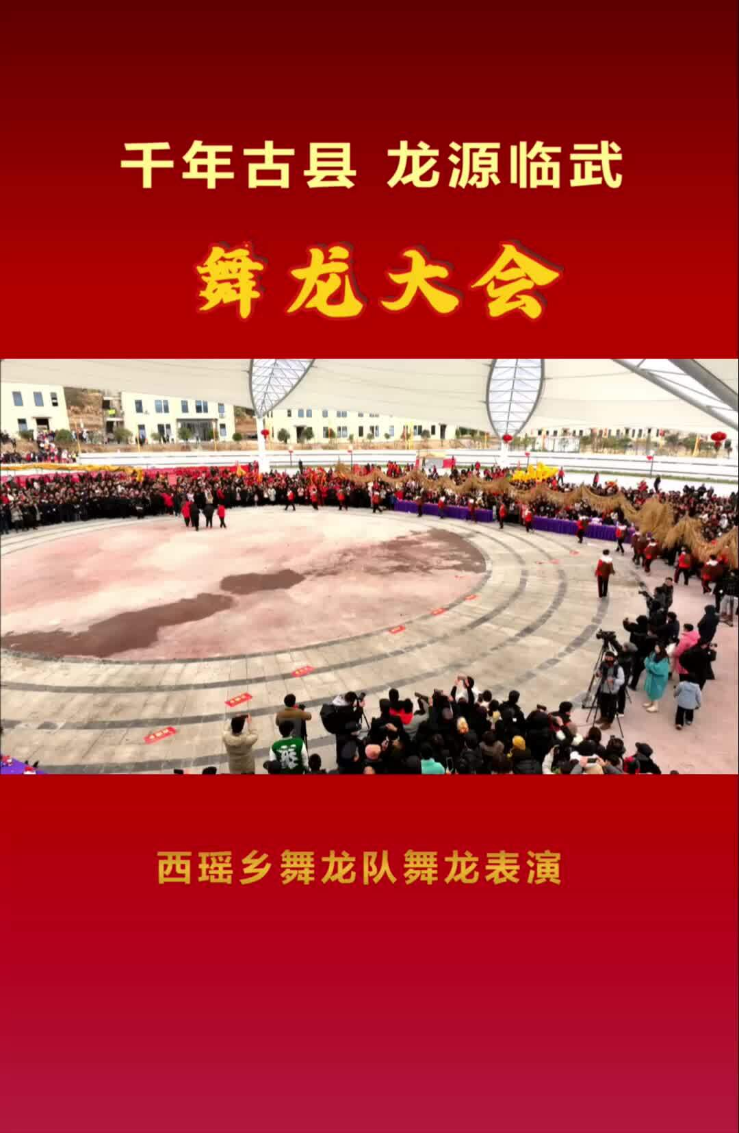 西瑶乡舞龙队舞龙表演#“千年古县 龙源临武”舞龙大会