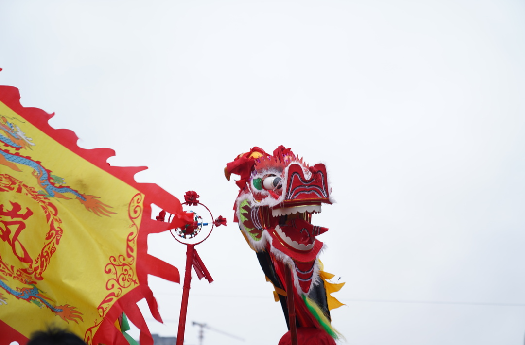我们的节日·元宵 | 图集：“千年古县·龙源临武”舞龙大会