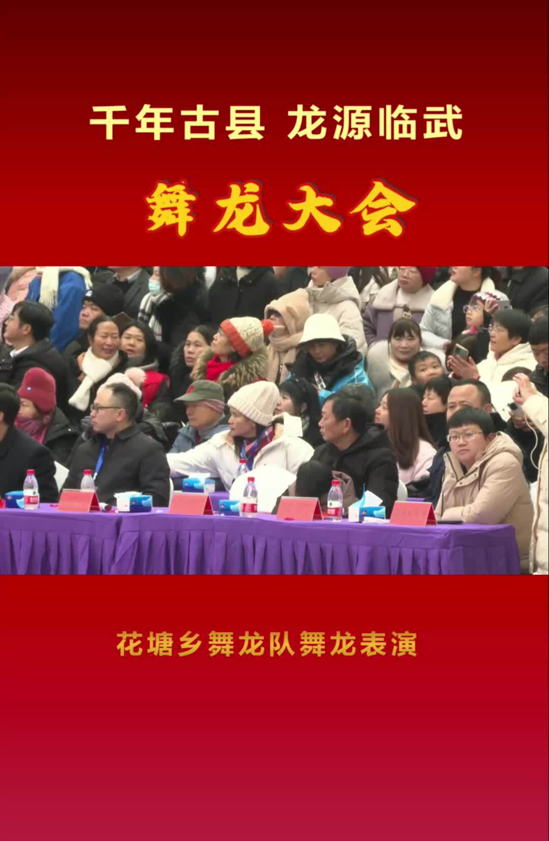 花塘乡舞龙队舞龙表演#“千年古县 龙源临武”舞龙大会
