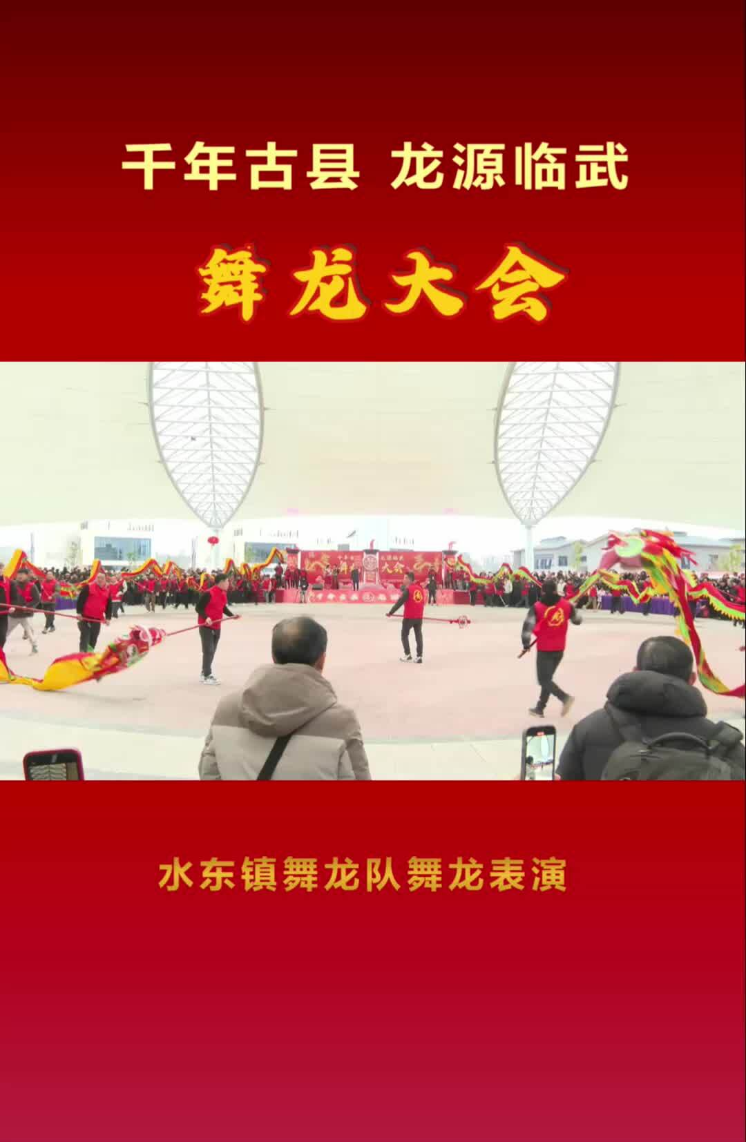 水东镇舞龙队舞龙表演#“千年古县 龙源临武”舞龙大会