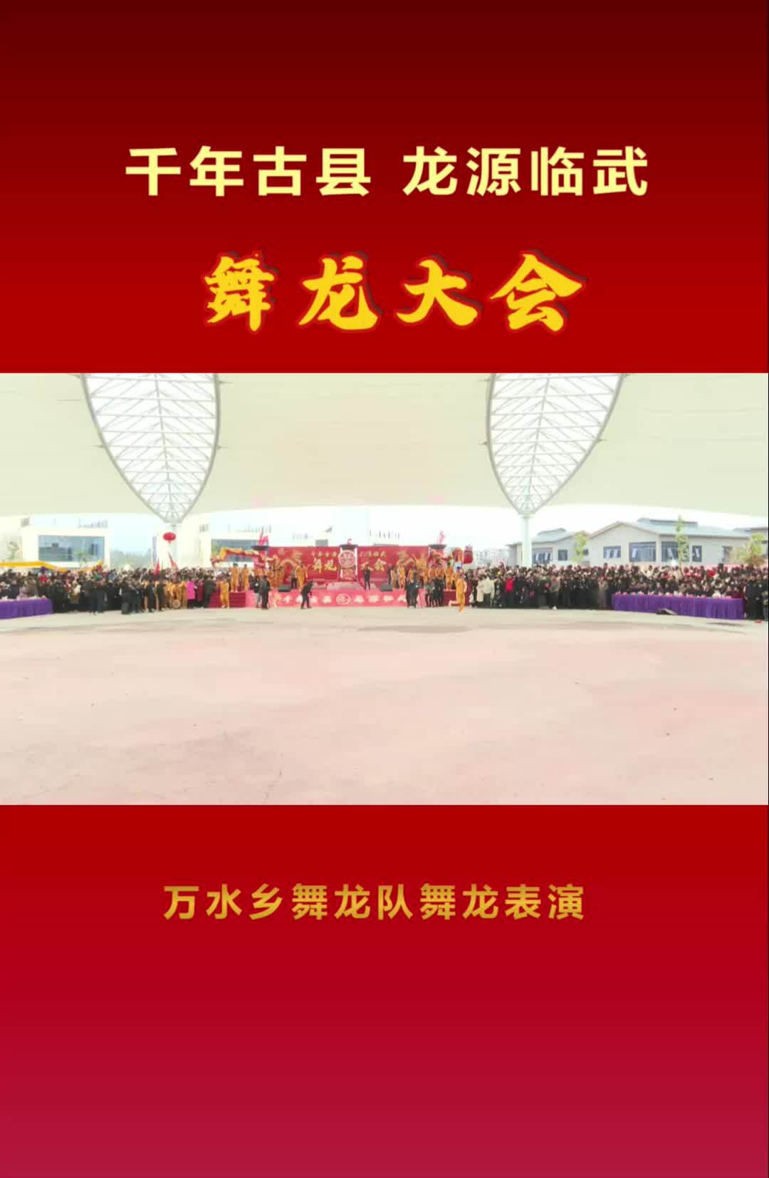 万水乡舞龙队舞龙表演#“千年古县 龙源临武”舞龙大会