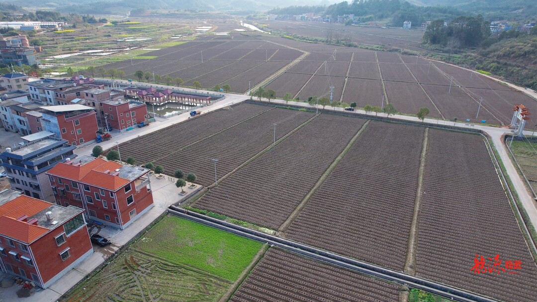 南强：万象“耕”新 春耕备耕正当时