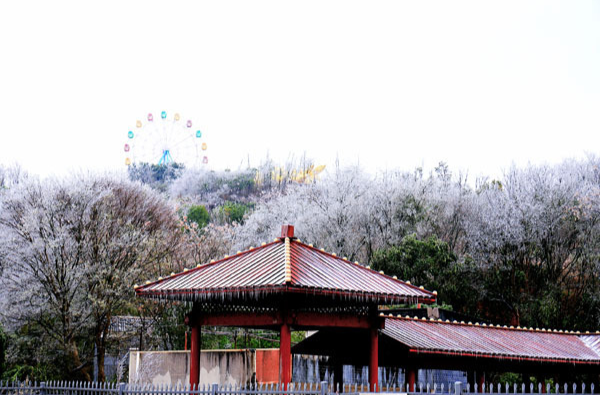 【学习强国】组图 | 郴州临武：待雪融憾“热辣滚烫”