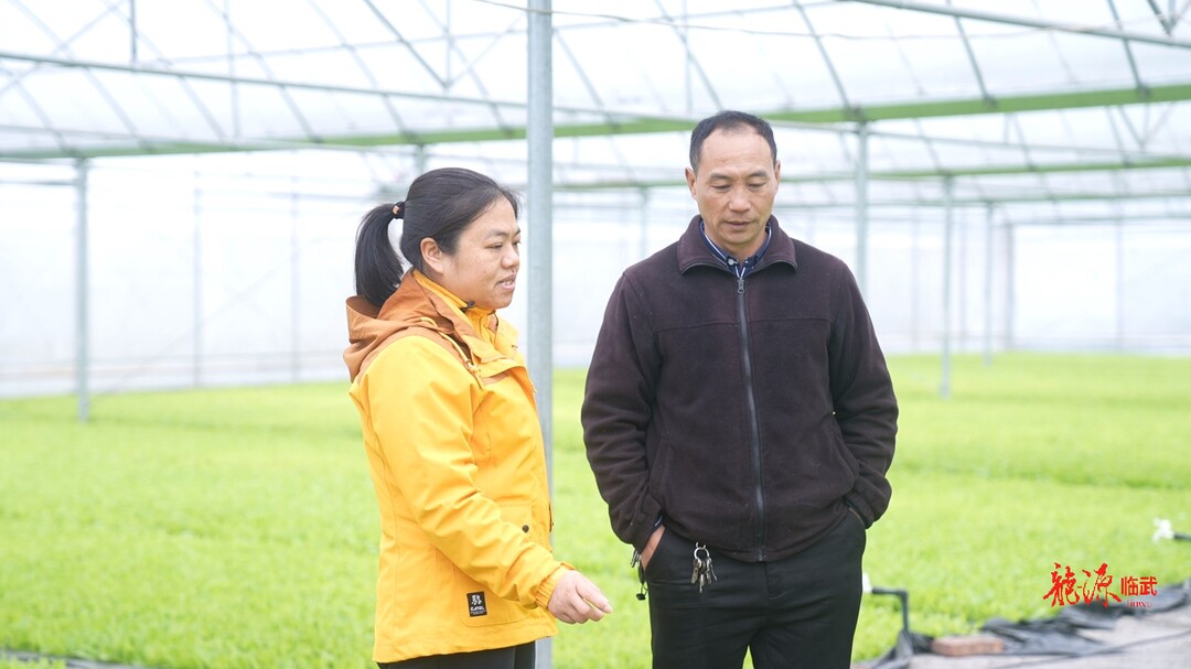 周丽平：深耕农技的“巾帼花”