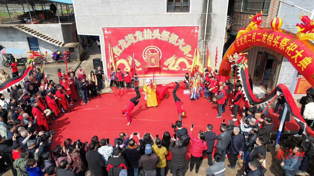 春回大地二月二 趣享民俗“龙抬头”