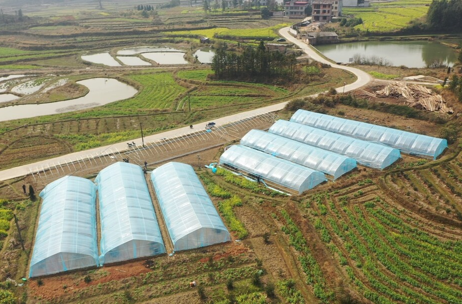 临武县农业农村局：全力助推育秧大棚建设 吹响春耕号角