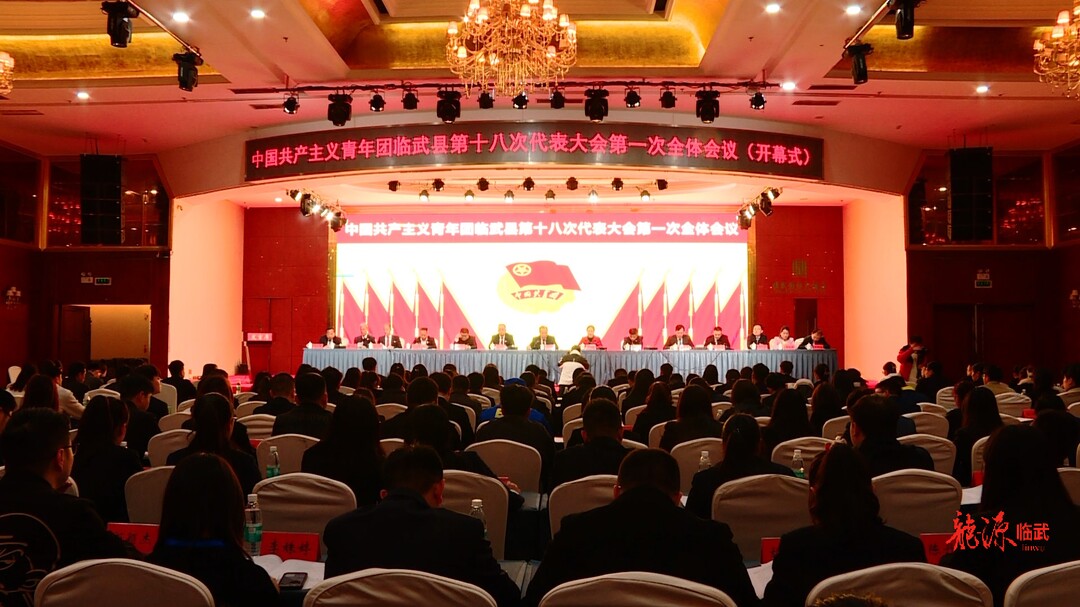 共青团临武县第十八次代表大会召开