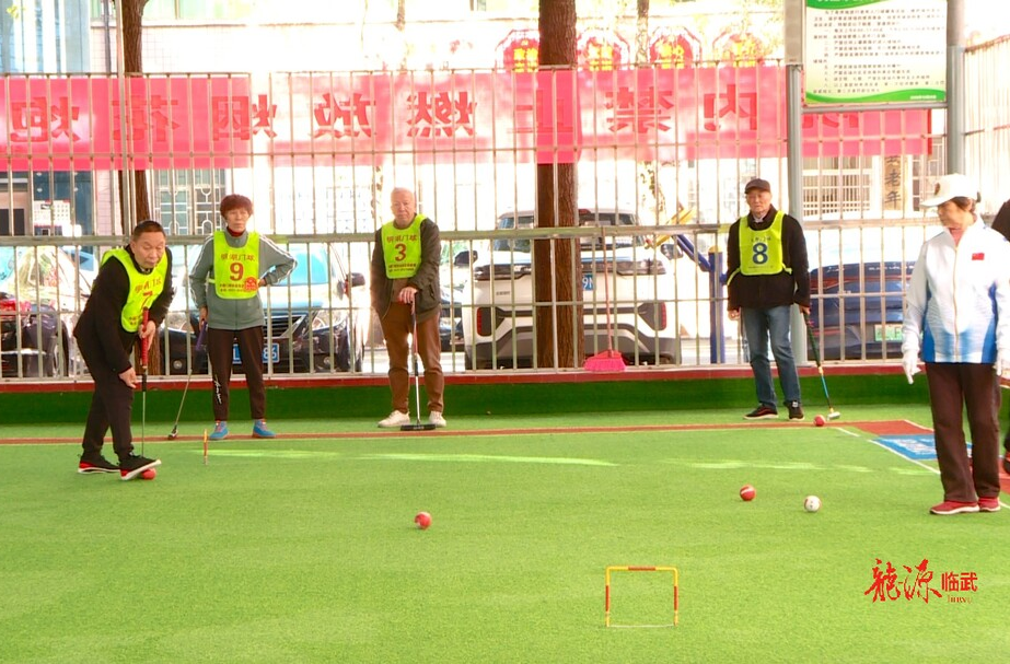 临武县2024年“久森杯”迎春门球赛圆满落幕