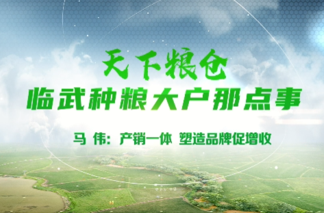 天下粮仓 临武种粮大户那点事 | 马伟：产销一体 塑造品牌促增收