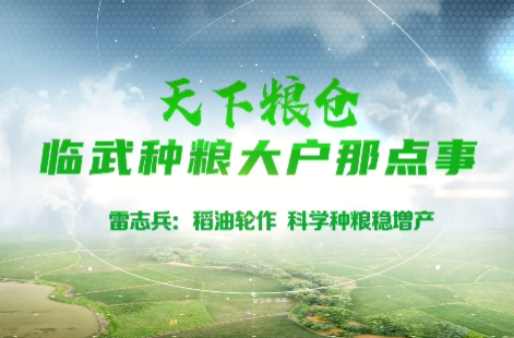 天下粮仓 临武种粮大户那点事 | 雷志兵：稻油轮作 科学种粮稳增产
