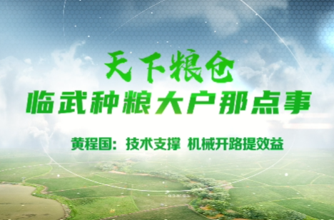 天下粮仓 临武种粮大户那点事 | 黄程国：技术支撑 机械开路提效益